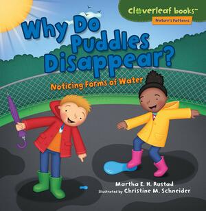 Why Do Puddles Disappear?: Noticing Forms of Water by Martha E.H. Rustad, Christine Schneider