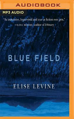 Blue Field by Elise Levine