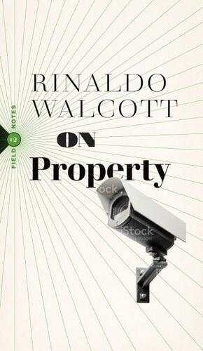 On Property: Policing, Prisons, and the Call for Abolition by Rinaldo Walcott