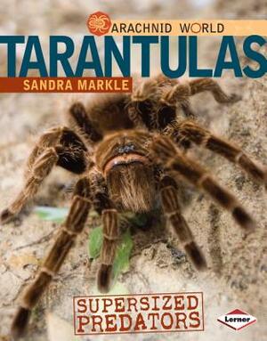 Tarantulas: Supersized Predators by Sandra Markle