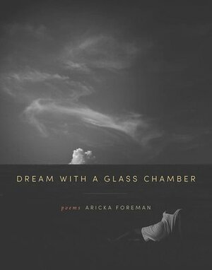 Dream with a Glass Chamber by Aricka Foreman