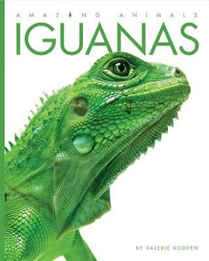 Iguanas by Valerie Bodden