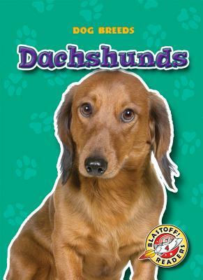 Dachshunds by Sara Green