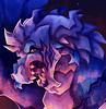 cyfox's profile picture