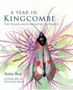 A Year In Kingcombe: The Wildflower Meadows of Dorset by Anita Roy