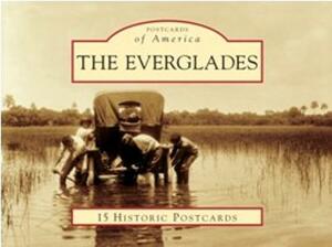 The Everglades by Robert S. Carr, Timothy A. Harrington