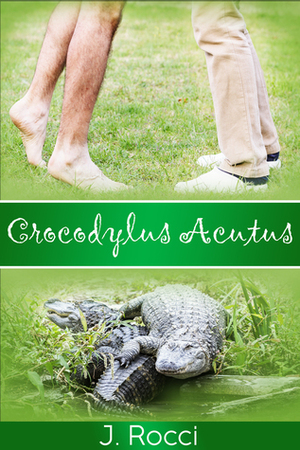 Crocodylus Acutus by J. Rocci