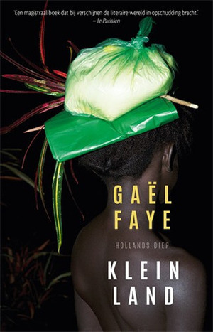 Klein land by Gaël Faye, Liesbeth van Nes