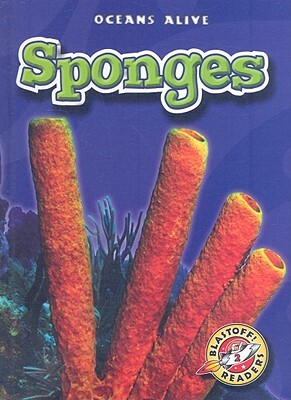 Sponges by Colleen Sexton