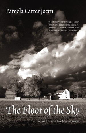 The Floor of the Sky by Pamela Carter Joern