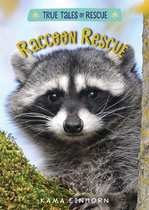 Raccoon Rescue by Kama Einhorn