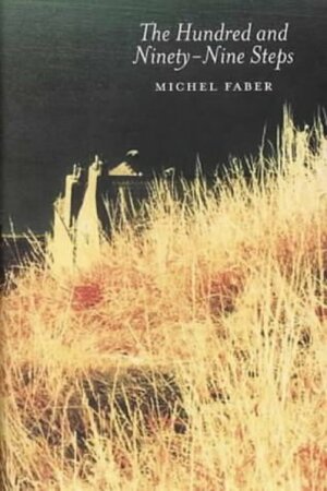The Hundred and Ninety-Nine Steps by Michel Faber