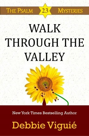 Walk Through the Valley by Debbie Viguié