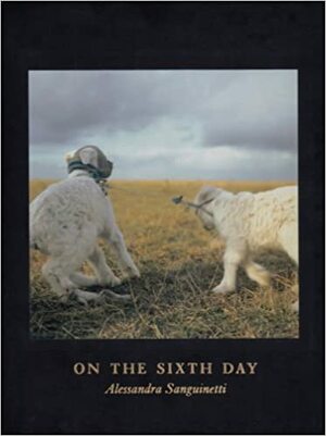On the Sixth Day by Alessandra Sanguinetti