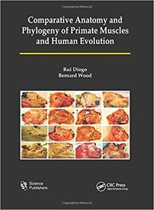 Comparative Anatomy and Phylogeny of Primate Muscles and Human Evolution by Bernard A. Wood, Rui Diogo