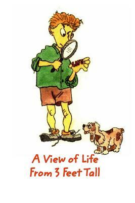 A View of Life From 3 Feet Tall by John Brisson