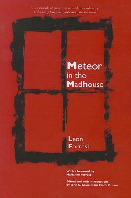 Meteor in the Madhouse by Leon Forrest