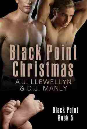 Black Point Christmas by D.J. Manly, A.J. Llewellyn