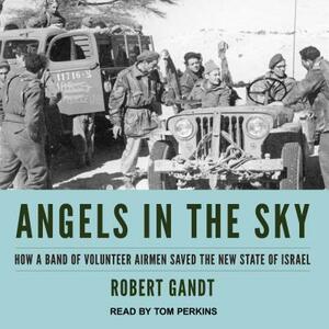 Angels in the Sky: How a Band of Volunteer Airmen Saved the New State of Israel by Robert Gandt