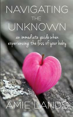 Navigating the Unknown: An Immediate Guide When Experiencing the Loss of Your Baby by Amie Lands