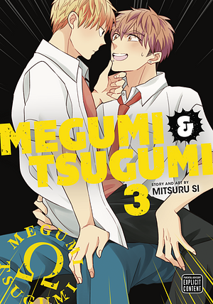 Megumi and Tsugumi, Vol. 3 by Mitsuru Si