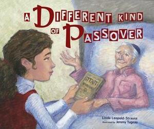A Different Kind of Passover by Linda Leopold Strauss