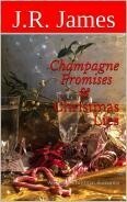 Champagne Promises & Christmas Lies: An Adult Christmas Romance by J.R. James