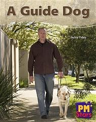 A Guide Dog by Jackie Tidey