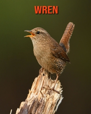 Wren: Learn About Wren and Enjoy Colorful Pictures by Matilda Leo