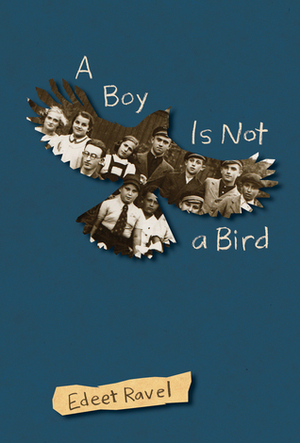 A Boy Is Not a Bird by Edeet Ravel