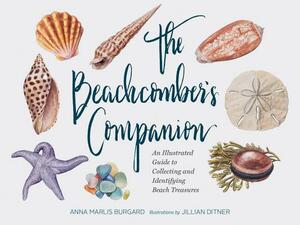 The Beachcomber's Companion: An Illustrated Guide to Collecting and Identifying Beach Treasures (Watercolor Seashell and Shell Collecting Book, Bea by Anna Marlis Burgard