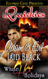 Adam and Evil by Jaid Black