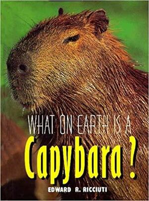 What on Earth Is a Capybara? by Bruce S. Glassman, Edward R. Ricciuti