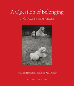 A Question of Belonging by Hebe Uhart