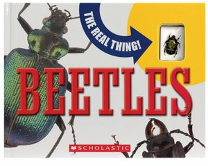 Beetles by Paige Krul Araujo, David Grimaldi, Mary Packard