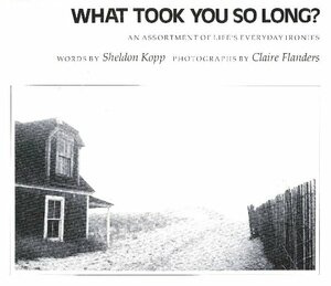 What Took You So Long? An Assortment of Life's Everyday Ironies by Sheldon B. Kopp, Claire Flanders