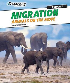 Migration: Animals on the Move by Andrew Einspruch