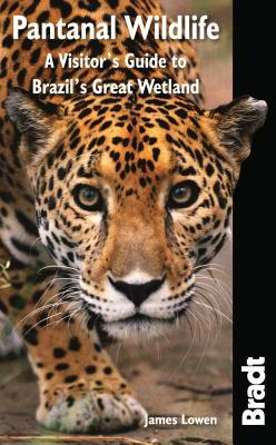 Bradt Pantanal Wildlife: A Visitor's Guide to Brazil's Great Wetland by James Lowen