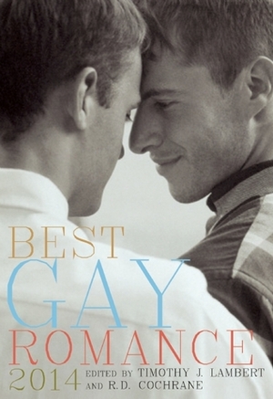 Best Gay Romance 2014 by Lewis DeSimone, David Puterbaugh, Jordan Taylor, James Booth, Kevin Langson, Rob Byrnes, Tony Calvert, N.S. Beranek, R.D. Cochrane, Felice Picano, Timothy J. Lambert, Georgina Li, Jameson Currier, Shawn Anniston, Alex Jeffers, Paul Brownsey, Eric Gober