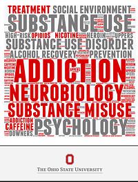 Theories and Biological Basis of Substance Misuse: Part 2 by Audrey L. Begun