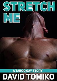 Stretch Me: A Taboo Gay Story by David Tomiko