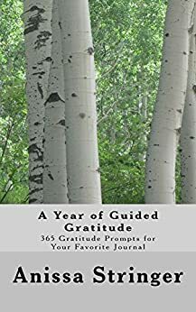 A Year of Guided Gratitude: 365 Gratitude Prompts for Your Favorite Journal by Anissa Stringer