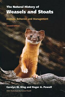 The Natural History of Weasels and Stoats: Ecology, Behavior, and Management by Carolyn M. King, Roger a. Powell