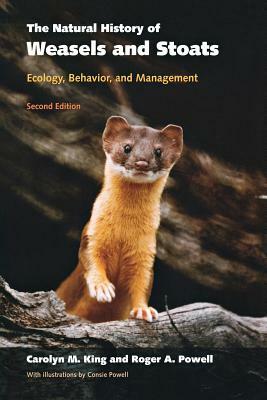 The Natural History of Weasels and Stoats: Ecology, Behavior, and Management by Carolyn M. King, Roger A. Powell