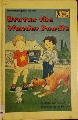 Brutus the Wonder Poodle by Linda Gondosch