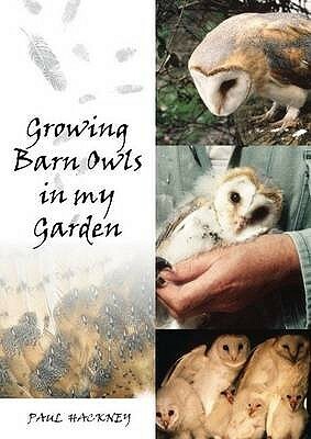 Growing Barn Owls in My Garden by Paul Hackney
