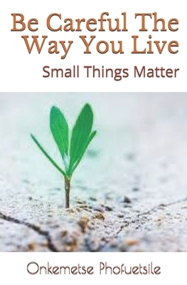 Be Careful The Way You Live: Small Things Matter by Onkemetse Phofuetsile