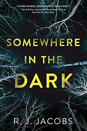 Somewhere in the Dark by R.J. Jacobs