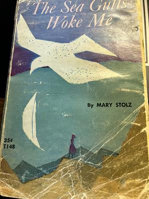 The Sea Gulls Woke Me by Mary Stolz