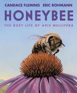 Honeybee: The Busy Life of Apis Mellifera by Candace Fleming